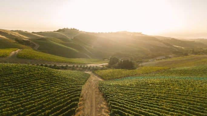 Daou vineyards in Paso Robles