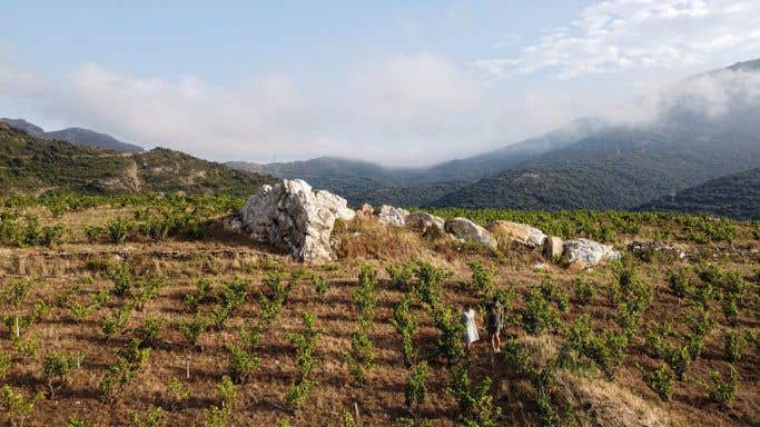 Pedres Blanques vineyard in Roussillon