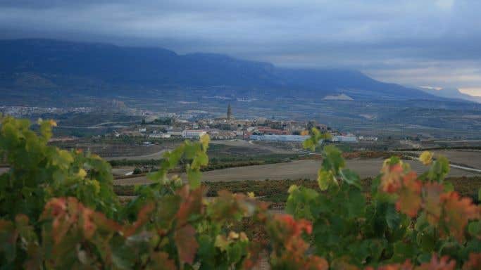 Briones in Rioja from Allende vineyard