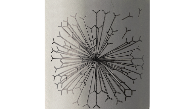Label of Dandelion Vineyards Lion's Tooth Shiraz Riesling