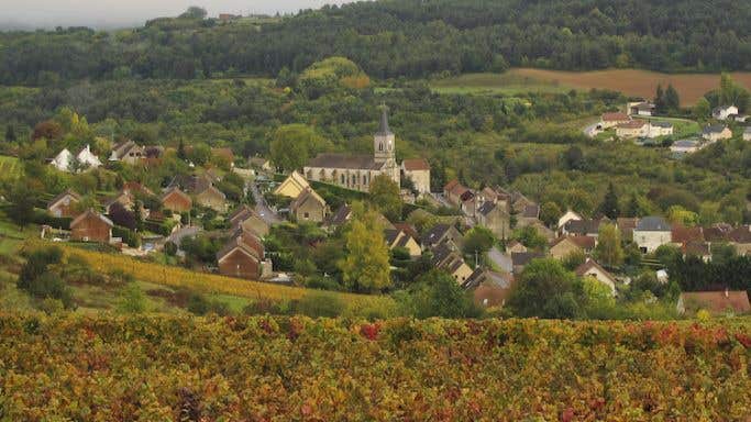 View of Arcenant village, including vineyards and church