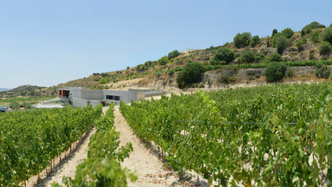 Vlassides winery Cyprus