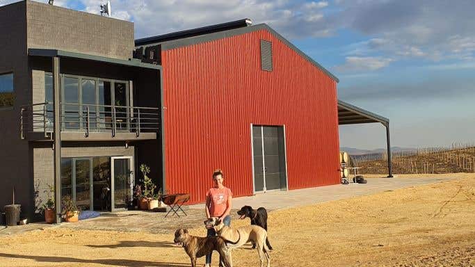 Rebuilt Lismore winery with Sam O'Keefe and dogs