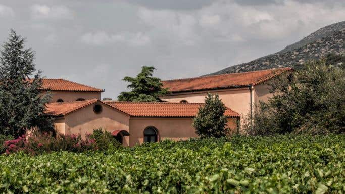 Dougos winery Rapsani