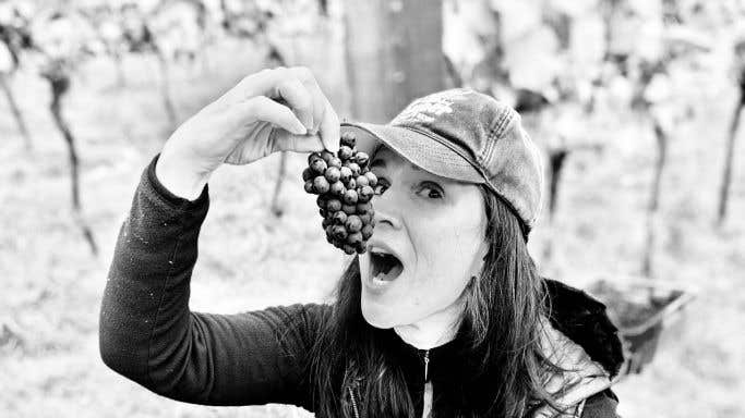 WWC21 de Gentile-Williams K - Karen eating old-vine Breaky Bottom Seyval grapes