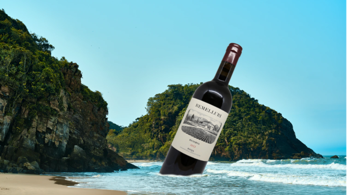Bottle of Remelluri Rioja washing up on a desert island