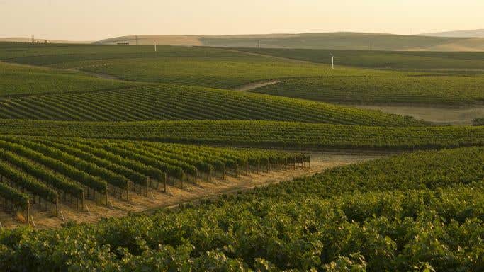 Washington State Wine - Walla Walla Valley by Andrea Johnson Photography