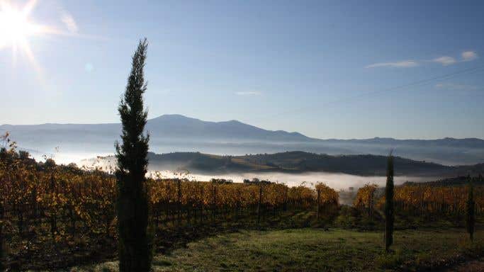 An autumn morning at San Polino, Montalcino