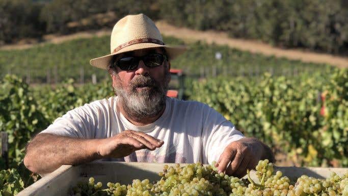 Phil Coturri of Enterprise Vineyards