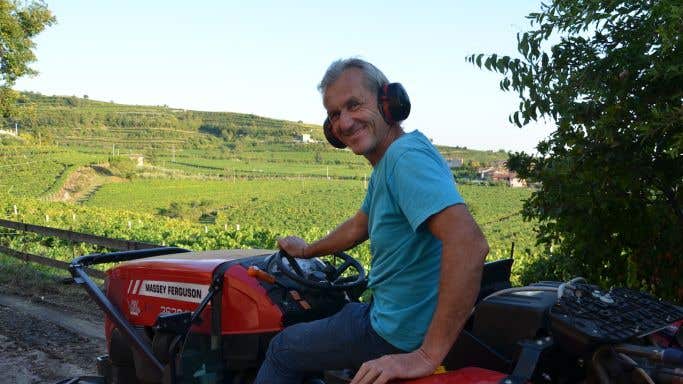 Gaetano Tamellini on a tractor in his Soave vineyards