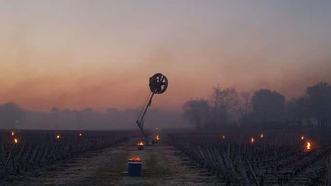 Wind machine and anti-frost candles at Ch Haut-Bailly pictured by technical director there, Gabriel Vialard