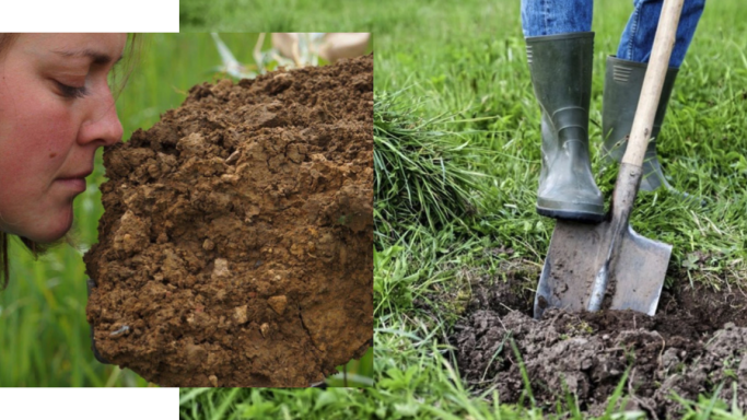 RVF our relationship with soil