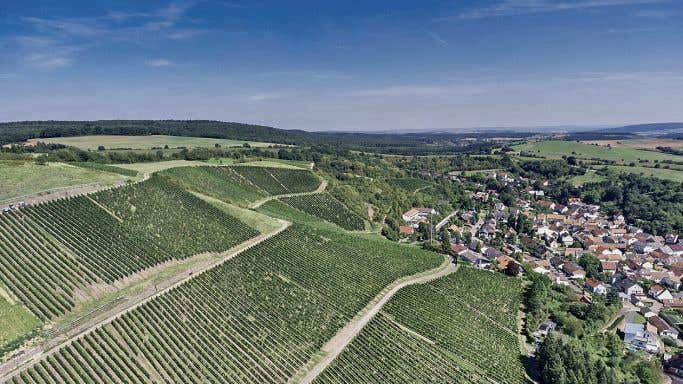 Felseneck vineyard in Bockenau in the Nahe, Weingut Schäfer-Frölich