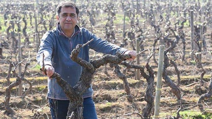 Marcelo Retamal in a vineyard