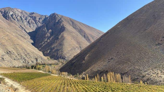 Alcohuaz vineyard in Elqui