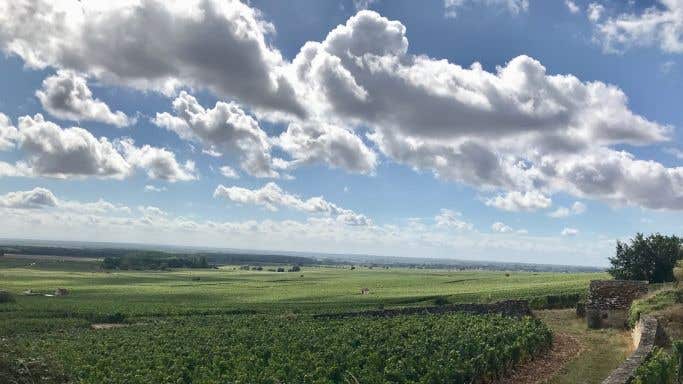 The view from Gevrey, over the Clos de Beze, Chambertin and on towards Morey-St Denis
