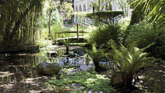 Cape Town Botanical Garden