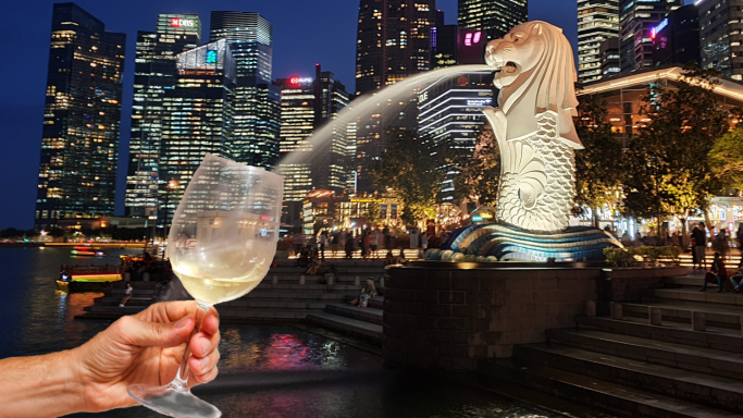 Montage of Singapore Merlion and wine glass
