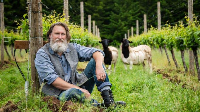 Stephen Hagen at Antiquum Farm leans against a vine post with sheep grazing in the background.
