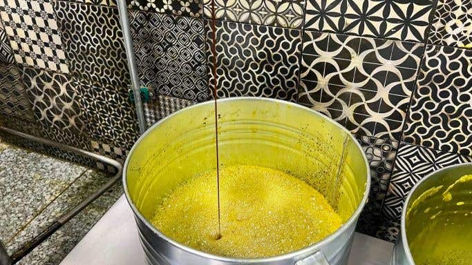 Kocbek - pumpkin seed oil coming out the press