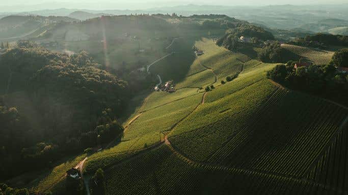 Drone view of Tement & Ciringa vineyards in Austria and Slovenia