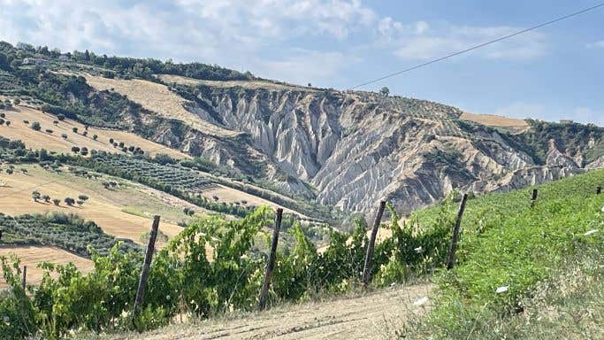 Francisco Cerilli's vineyards in Atri