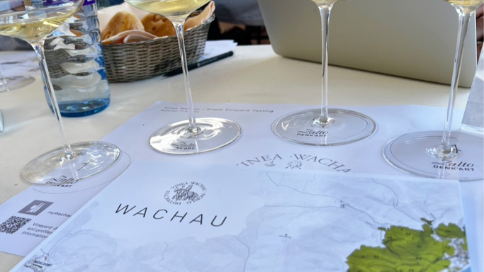 Glasseds and map on table at the Vinea Wachau tasting