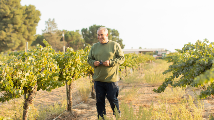 Andrew Jones walking through a vineyard