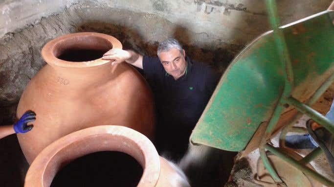 Burying qvevri in the Iberieli cellar