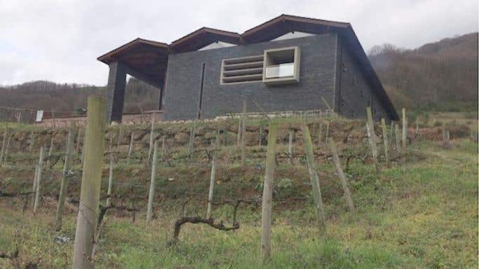 Dominio del Urogallo on Asturias hillside
