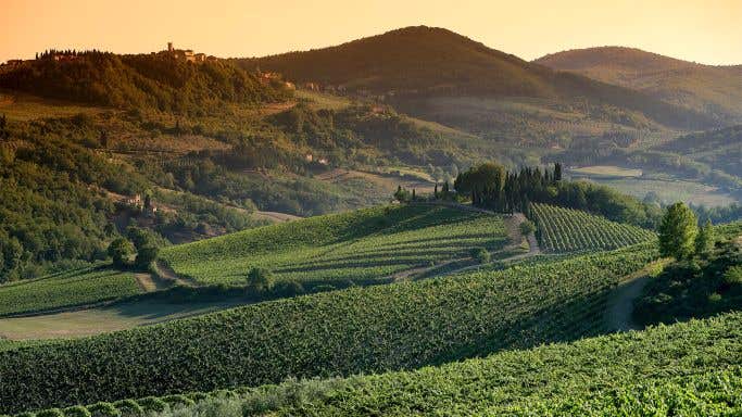 Radda in Chianti and vineyards
