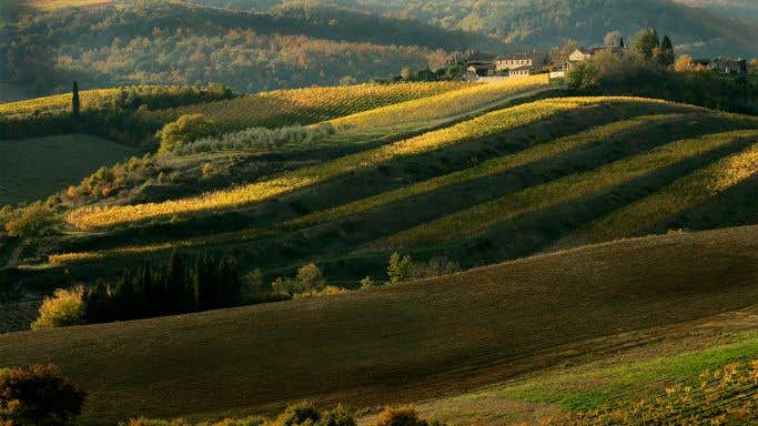 Shadows falling across Chianti Classico's vineyards