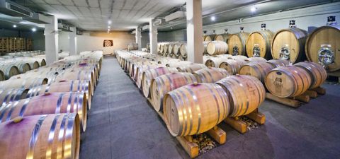 Gaia's barrel cellar in Nemea, Greece
