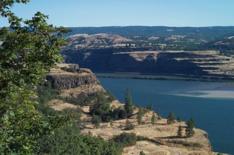 Columbia Gorge from Memaloose Overlook
