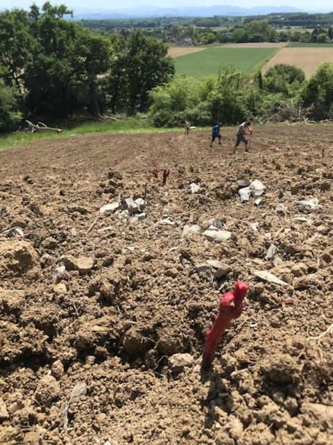 Dom d'Audaux land being prepared for planting in south west France