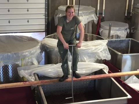 Samantha Cole-Johnson operates a food-free punchdown in Oregon 2019