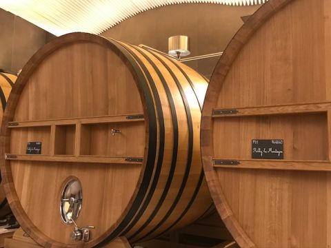Large oak casks in Billecart-Salmon's cellars in Mareuil-sur-Aÿ