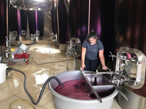 La Gaffeliere inside the winery