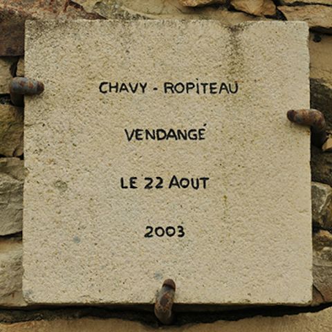 Plaque commemorating 2003's unusually early harvest in Puligny's Folatières vineyard