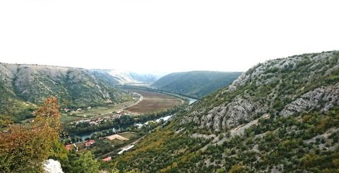 Blatina vines in Neretva gorge, Bosnia Herzegovina