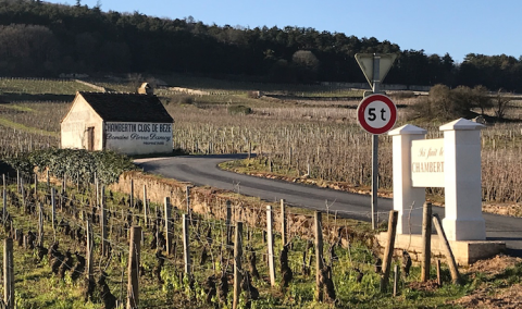 Chambertin and Clos de Bèze vineyards in Burgundy