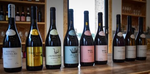 Fitapreta Signature Series