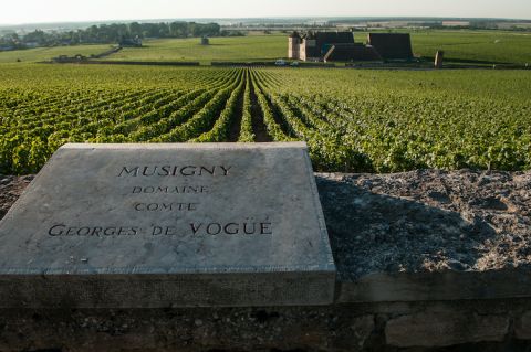 Le Musigny vineyard with plaque of Dom G Comte de Vogue