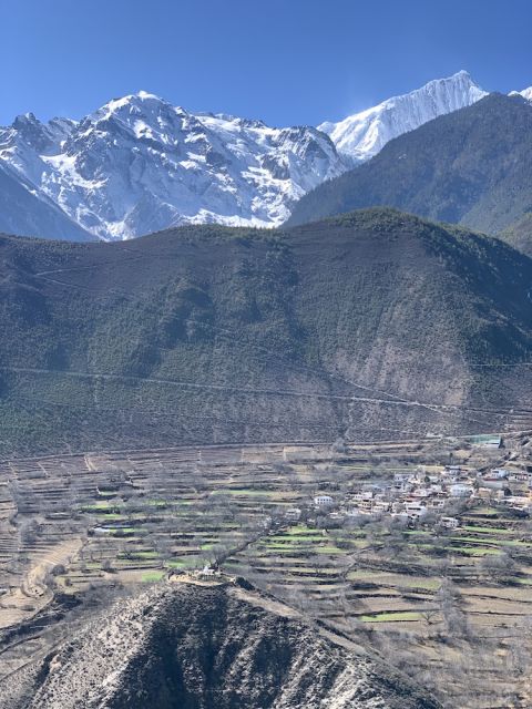 Ao Yun vineyards overlooked by the Himalayas