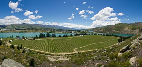 Felton Road - Cornish Point Vineyard