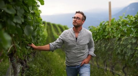 Andreas Kofler in the Penón vineyard