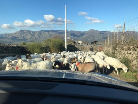 Local manure producers