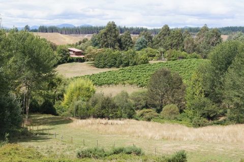 Kindeli - the long view