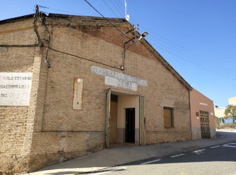 Orto Vins - Celler Cooperatiu El Molar