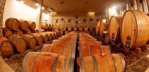 Rodica barrel cellar